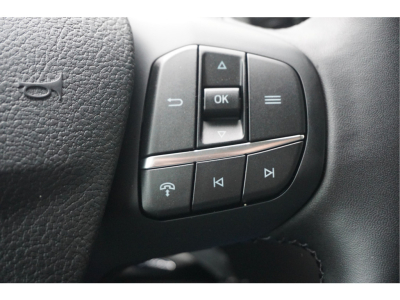 42128389-ford-transit-14