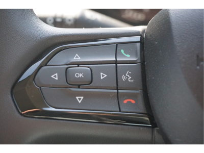 46066499-fiat-ducato-12